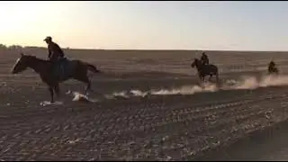 Тренировочные галопы, ПП 