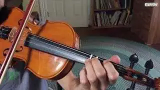 Wildwood Flower — базовый урок игры на скрипке