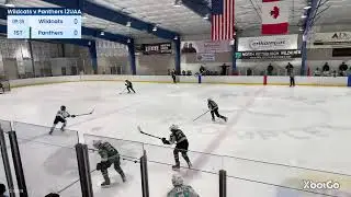 North Pittsburgh Wildcats 12U-1 Lundy v SHAHA Panthers 12UAA at Baierl Toyota Ice Complex