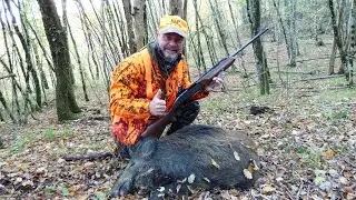 Wild Boar Drive Hunting Field Test SCM Detachable Mount Rotante Short for red dot B&P BP108 Powder