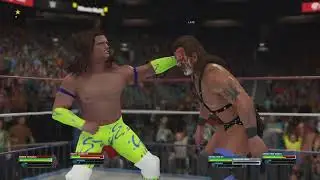 WWF Superstars The Rockers 🆚 Demolition World Tag Team Championship Match