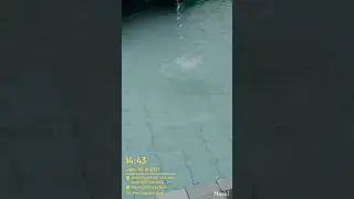 Berenang Keluarga Besar di Yasmin Centre