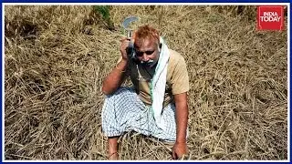 UP Farmer Loan Waiver : Good Politics , Bad Economy ?