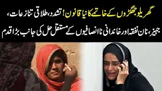 End to Domestic Conflicts? Pakistan&rsquo;s New Law Explained | Big Step for Family Justice | YouDigital