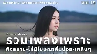 รวมเพลงเพราะๆ ใหม่ล่าสุด 2025 | ฟังยาวๆ 2 ชั่วโมงเต็ม | Vol.19 | Dreamy Melody