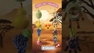 Cat Animation | Fruit Cat | Cute Cats Becomes Cute Fruit Cats