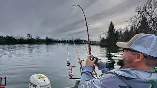 It was a good idea to fish the river today.