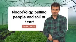 COREnet Stories: Zoltan Dezseny