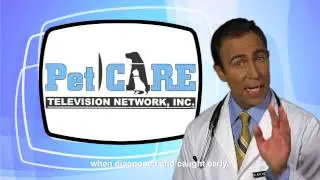 PetCARE TV - Fleas & Ticks