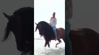 bareback horse riding by a beautiful lady at sea beach #viralvideo #horse #horseriding #equestrian
