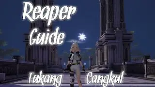 Reaper build (Status, Core, Deep / Talent, Rotation) | PvP & PvE #dragonraja