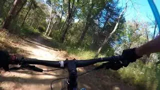 Flying Pig - Turkey Run Silo Center Bike Park in Louisville