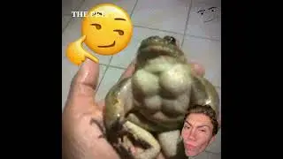 GET MY BUFF FROG FAMOUS