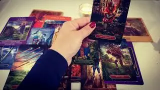 Mi az üzenet számodra?🍀🌺🌼
