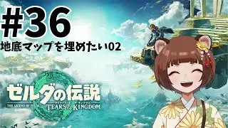 【＃ゼルダの伝説 】ゼルダの伝説　TEARS OF THE KINGDOM＃36【信楽こころ／#vtuber  /#thelegendofzeldatearsofthekingdom 】