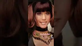 Barbi Benton⭐️Hee Haw