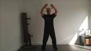 Tai Chi Zhan Zhuang Training