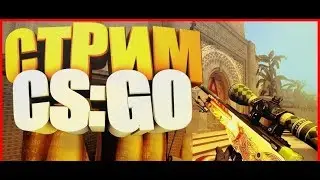 ✅ ИГРАЕМ В КС ГО ✅ LIVE STREAM CS:GO,CREATIVE DESTRUCTION ✅ КСГО СТРИМ - ПРЯМОЙ ЭФИР✅