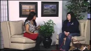 KHQA This Morning introduces you to February's Pets of the Month