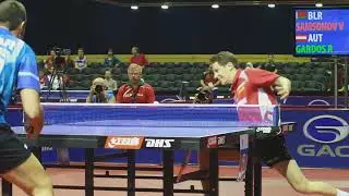 Vladimir Samsonov (BLR) v. Robert Gardos (AUT) at the 2011 Rotterdam WTTC