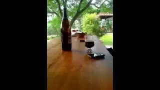 Los Palmare&ntilde;os
