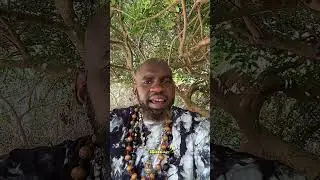 Redirecting Sexual Energy & Pain: From Compulsion to Creation