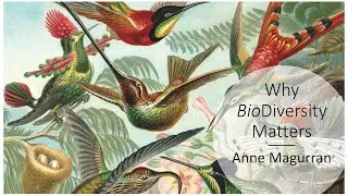 UNIDWGS 2022 - Why BioDiversity Matters?