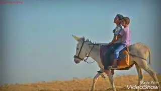 يطا هبت نسايم بلادي