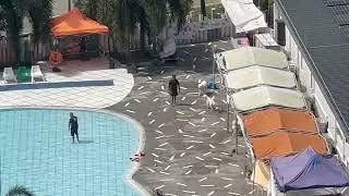 Singapore Noise Pollution_Padel Courts_Open Dog Pools_ 14 March 2024 _1110