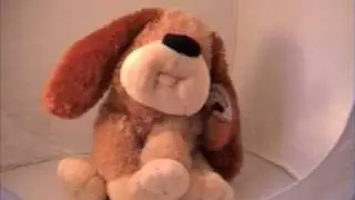 Flappy the Dog