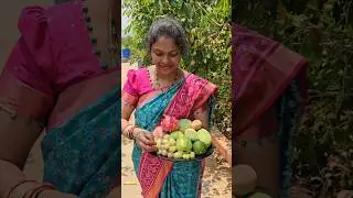 fruits harvesting in my garden #fruits #mygarden #organicfarming #gardening #shortvideo #trending