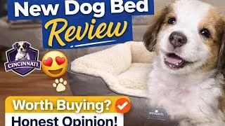 My pet&rsquo;s new Bed | Honest review
