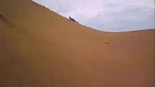 Medanos de Coro 