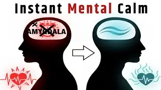 Mind Racing? 10 Science-Backed Ways to Calm Anxiety and Overthinking Fast