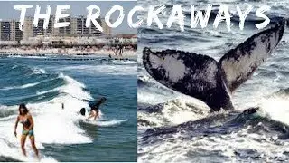 THE ROCKAWAYS PART 1 | Rockaway Beach NYC | Whale Watching NYC | Rockaway Beach Summer Fun