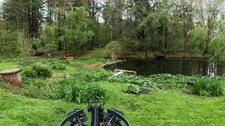 TenPoint Vapor RS470 50 yd sight in