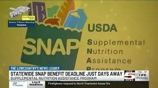 VIDEO: Deadlines coming up to reimburse stolen SNAP benefits, verify info for P-EBT cards