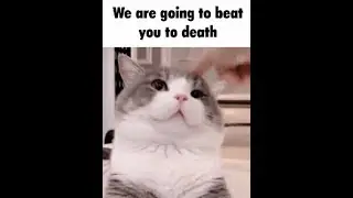изящно