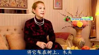 寬恕他人，心懷仁慈（三集之一）（中文大字幕）（part1of3)Be Forgiving and Merciful