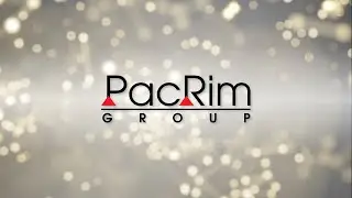 PacRim Group: The Trusted Partner in Accelerating Transformation and Performance Improvement