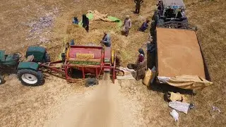 Drone - Harvesting Wheat with Thresher Agriculture in Punjab ||  Wheat Harvesting Complete Process