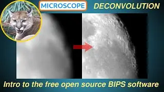 Deconvolution Step-by-Step Guide with the Open Source BIPS on Linux and Windows