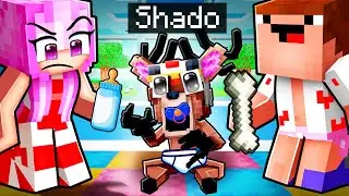 Qui veut ADOPTER 99 Nuit Shado sur Minecraft !