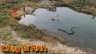 Theo Dấu Vết Ph&aacute;t Hiện Con Rắn Khổng Lồ Bơi Ngang Qua Hồ Dưới Ch&acirc;n Đập Thuỷ Lợi Theo Lời Người D&acirc;n .