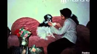 صور ابتسام تسكت ما لا تعرفونه عنها من طفولتها حتى اليوم