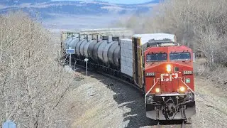 Union Pacific AC4400CW #6640!! Canadian Pacific Mixed (CP 469) West at Lundbreck Falls, AB