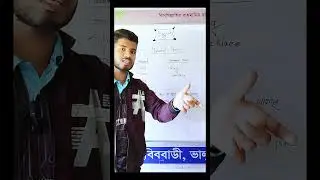 Basic English Grammar|| Material Noun||ইংরেজির হাতে খড়ি || #education
