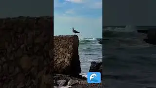 #я #море #песок #люблю #красота #природа #beaty #music #sea #nature #art #beaty #солнце #милота