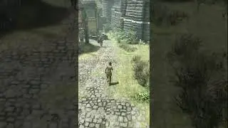 Solitude Skyrim Knowledge #shorts #skyrimspecialedition #skyrim