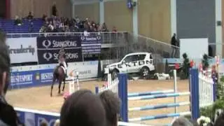 Spranghest selges! - Jumpinghorse for sale!